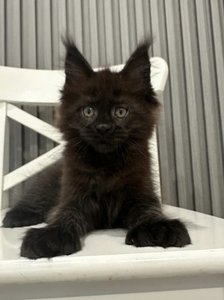 Quincy