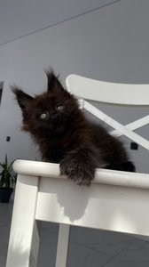 Quincy