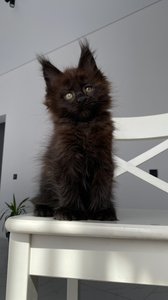 Quincy