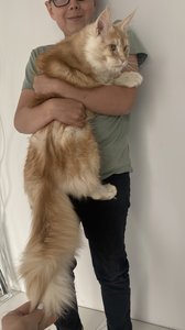 Oliver