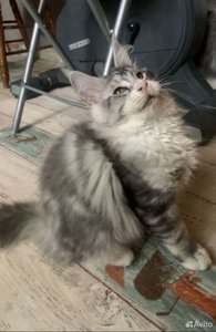 id:70778