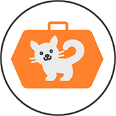 Manecoon
